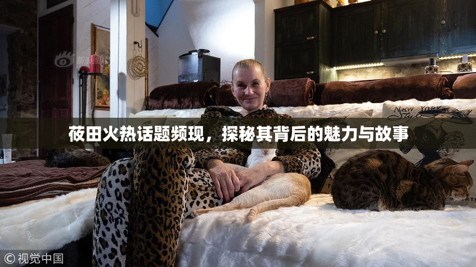 莜田火热话题频现，探秘其背后的魅力与故事
