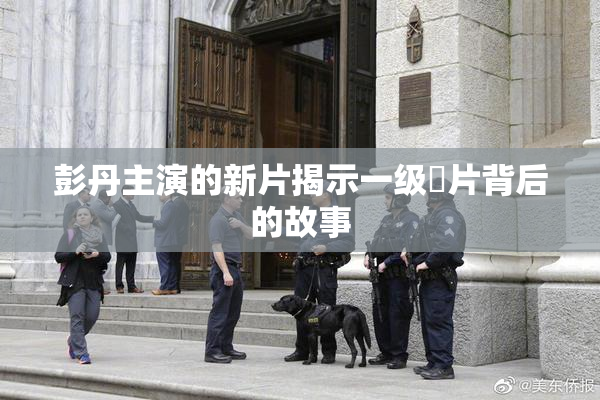 彭丹主演的新片揭示一级婬片背后的故事