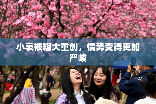 小哀被粗大重创，情势变得更加严峻