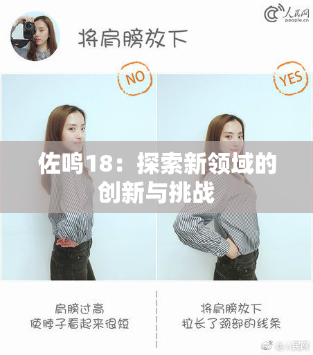 佐鸣18：探索新领域的创新与挑战