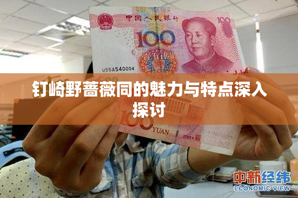 钉崎野蔷薇同的魅力与特点深入探讨