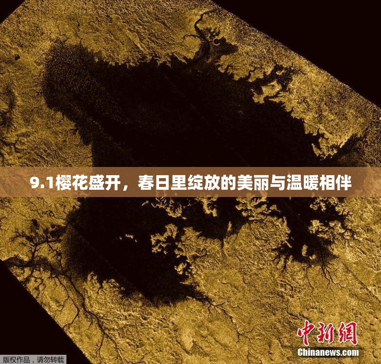 9.1樱花盛开，春日里绽放的美丽与温暖相伴