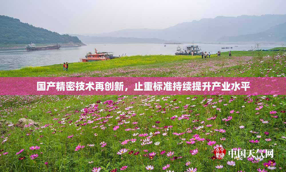 国产精密技术再创新，止重标准持续提升产业水平