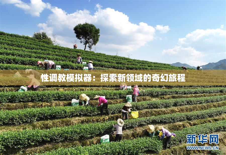 性调教模拟器：探索新领域的奇幻旅程