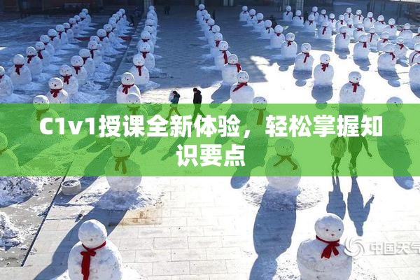 C1v1授课全新体验，轻松掌握知识要点