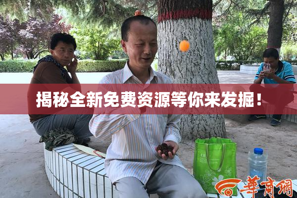 揭秘全新免费资源等你来发掘！