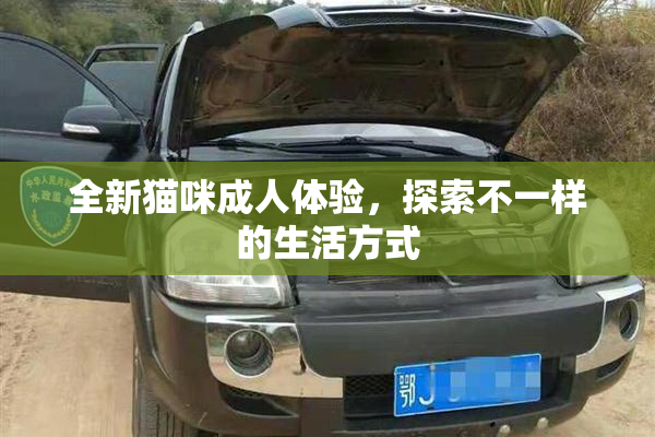 全新猫咪成人体验，探索不一样的生活方式