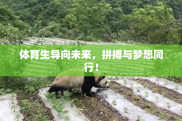 体育生导向未来，拼搏与梦想同行！