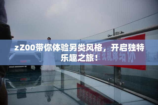 zZ00带你体验另类风格，开启独特乐趣之旅！