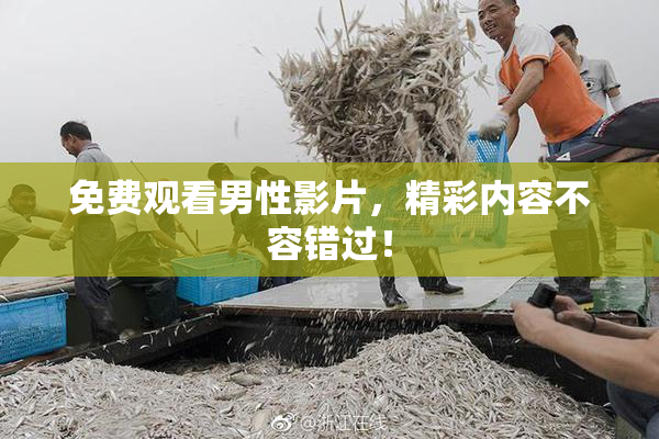 免费观看男性影片，精彩内容不容错过！