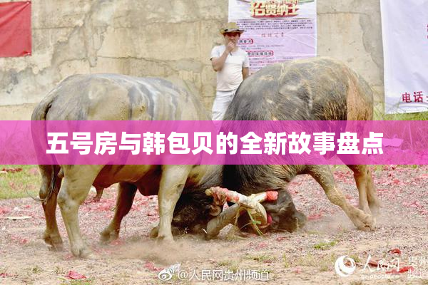 五号房与韩包贝的全新故事盘点