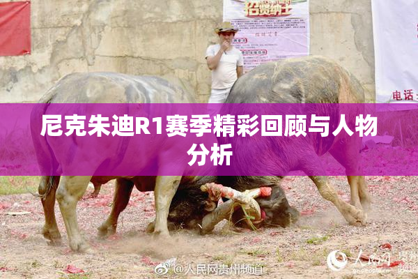 尼克朱迪R1赛季精彩回顾与人物分析