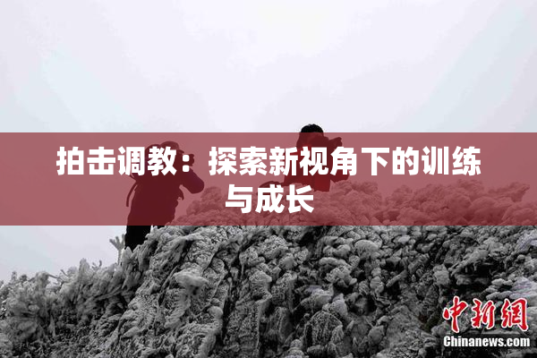 拍击调教：探索新视角下的训练与成长