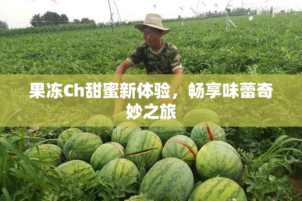 果冻Ch甜蜜新体验，畅享味蕾奇妙之旅