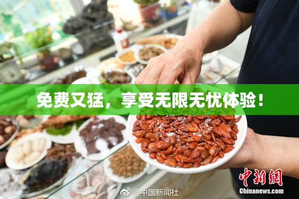 免费又猛，享受无限无忧体验！