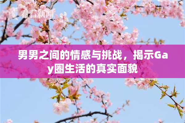 男男之间的情感与挑战，揭示Gay圈生活的真实面貌