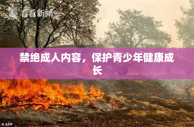 禁绝成人内容，保护青少年健康成长