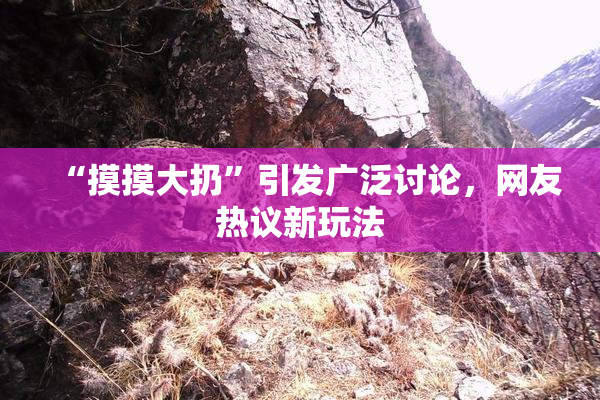 “摸摸大扔”引发广泛讨论，网友热议新玩法
