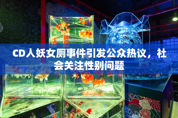 CD人妖女厕事件引发公众热议，社会关注性别问题