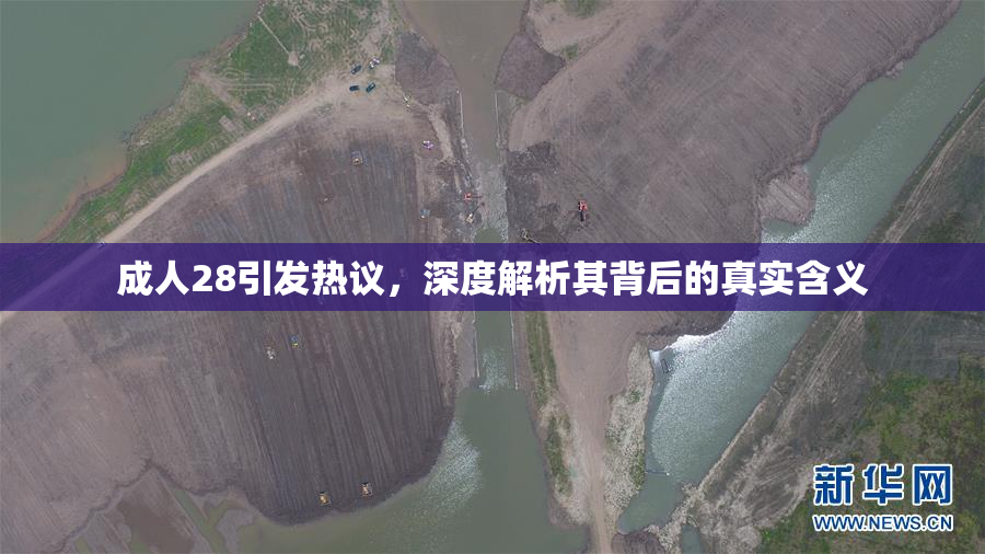 成人28引发热议，深度解析其背后的真实含义