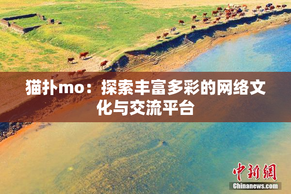 猫扑mo：探索丰富多彩的网络文化与交流平台