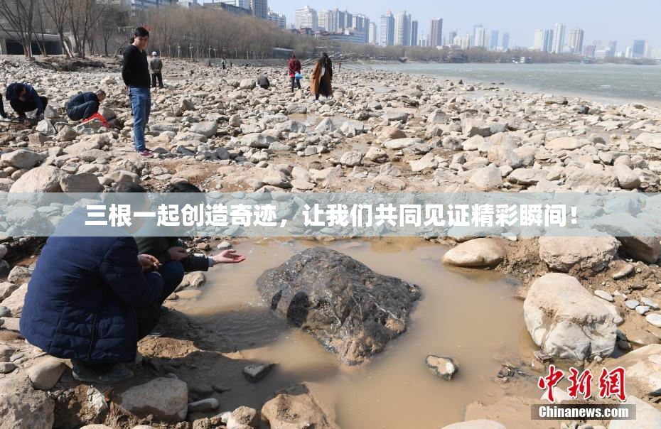 三根一起创造奇迹，让我们共同见证精彩瞬间！