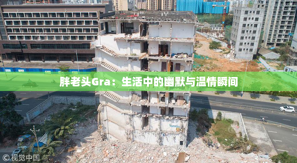 胖老头Gra：生活中的幽默与温情瞬间