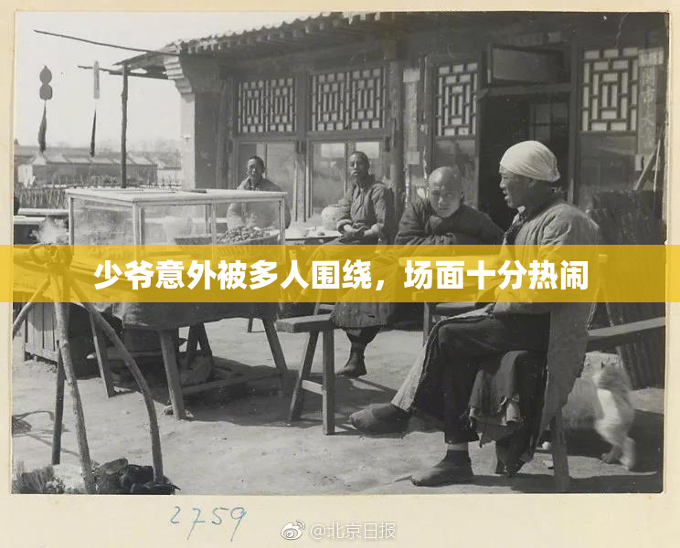 少爷意外被多人围绕，场面十分热闹