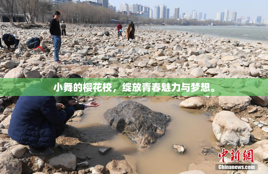 小舞的樱花校，绽放青春魅力与梦想。