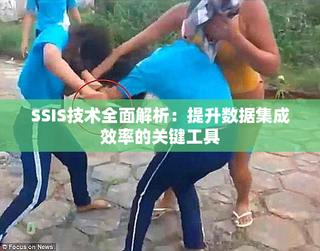 SSIS技术全面解析：提升数据集成效率的关键工具