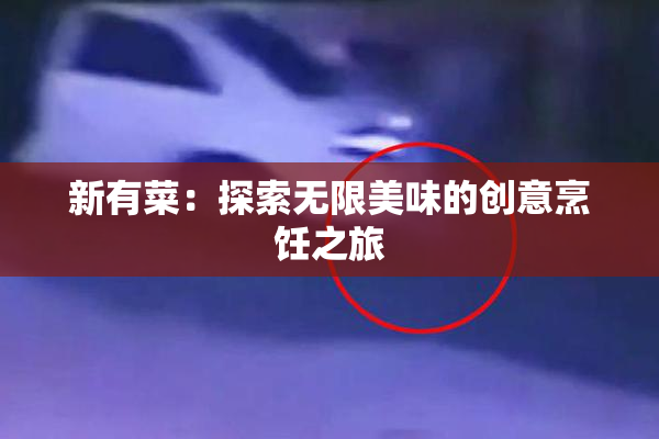 新有菜：探索无限美味的创意烹饪之旅