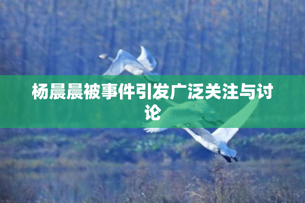 杨晨晨被事件引发广泛关注与讨论