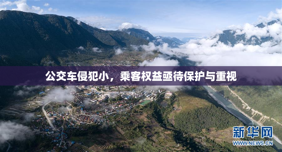 公交车侵犯小，乘客权益亟待保护与重视