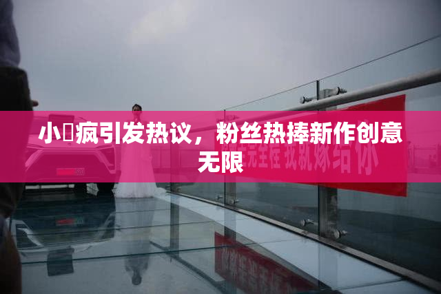 小泬疯引发热议，粉丝热捧新作创意无限