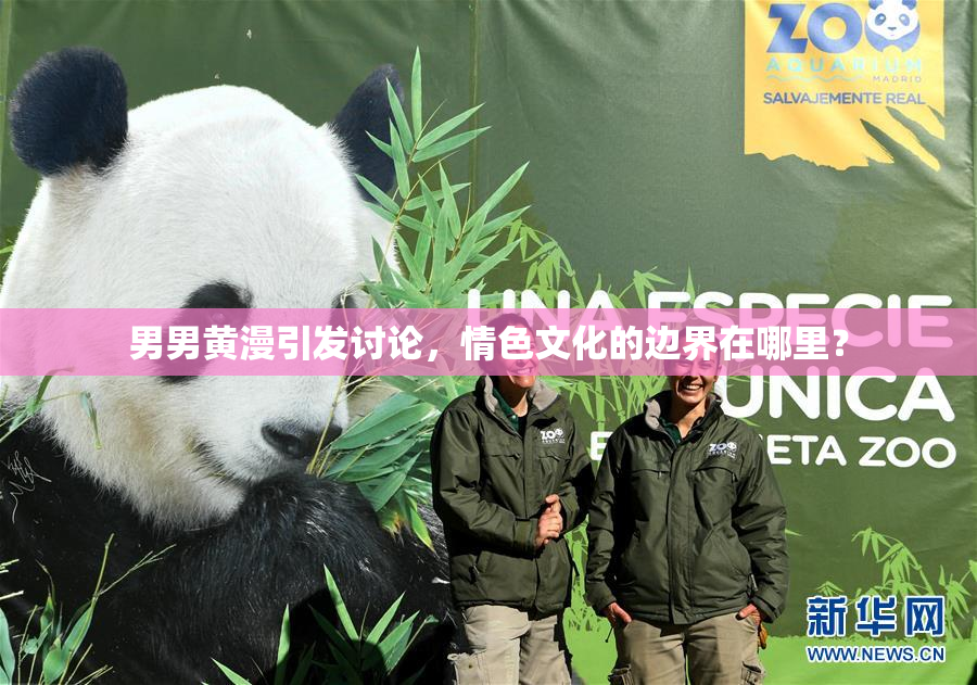 男男黄漫引发讨论，情色文化的边界在哪里？