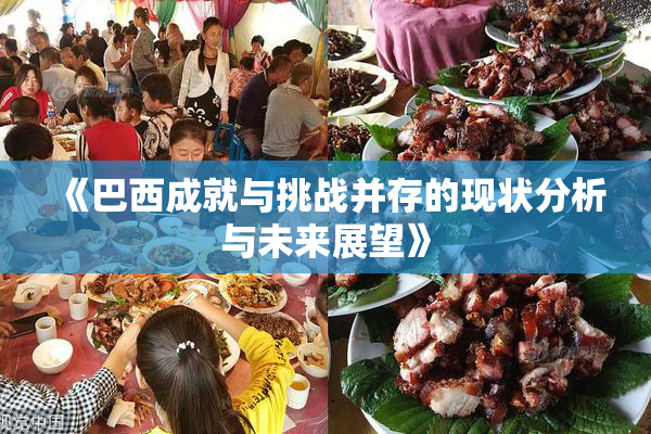 《巴西成就与挑战并存的现状分析与未来展望》
