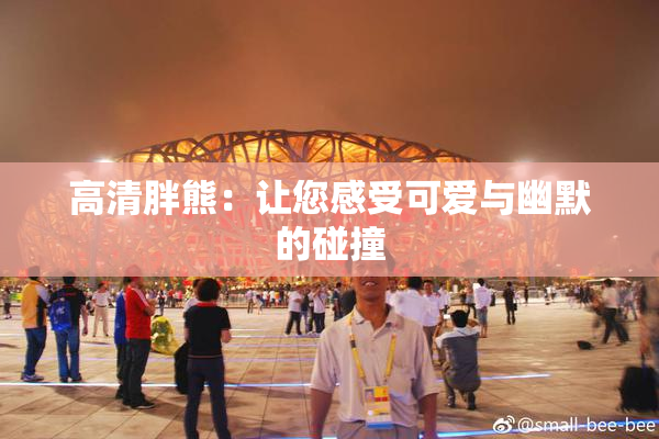 高清胖熊：让您感受可爱与幽默的碰撞