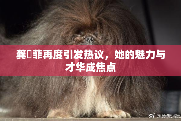 龚玥菲再度引发热议，她的魅力与才华成焦点