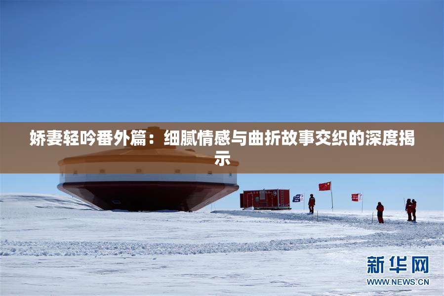 娇妻轻吟番外篇：细腻情感与曲折故事交织的深度揭示