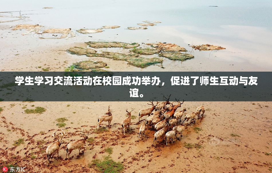 学生学习交流活动在校园成功举办，促进了师生互动与友谊。