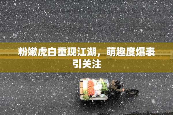 粉嫩虎白重现江湖，萌趣度爆表引关注