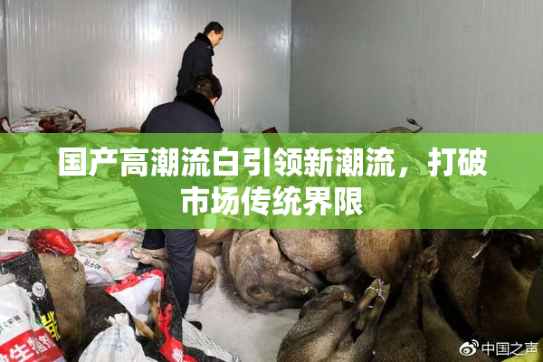 国产高潮流白引领新潮流，打破市场传统界限