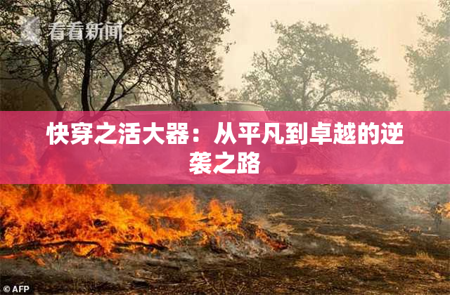 快穿之活大器：从平凡到卓越的逆袭之路