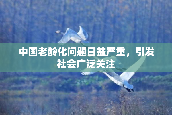 中国老龄化问题日益严重，引发社会广泛关注