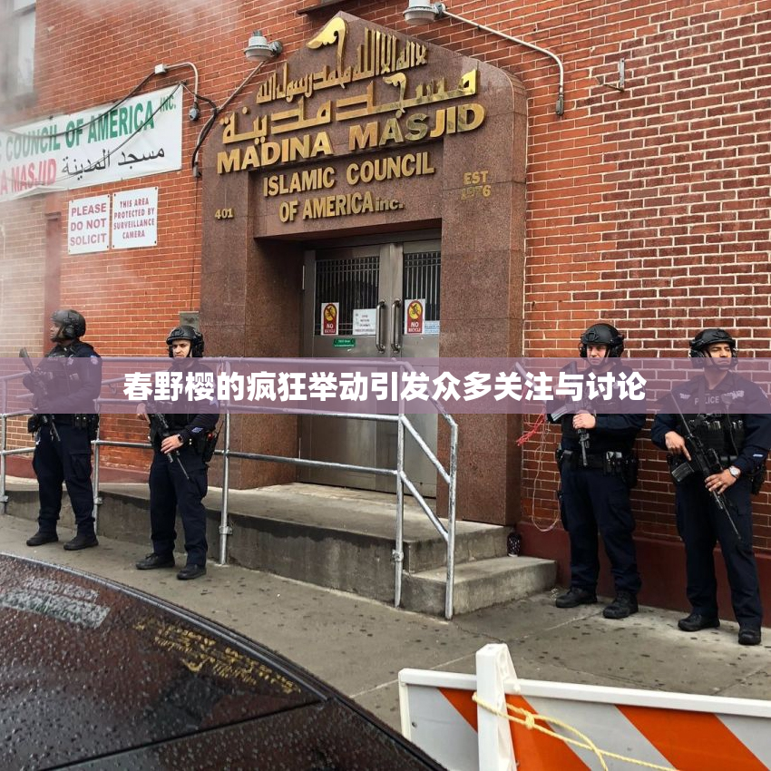 春野樱的疯狂举动引发众多关注与讨论
