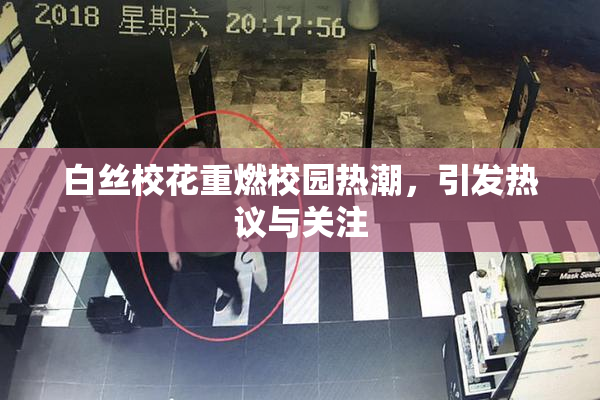 白丝校花重燃校园热潮，引发热议与关注