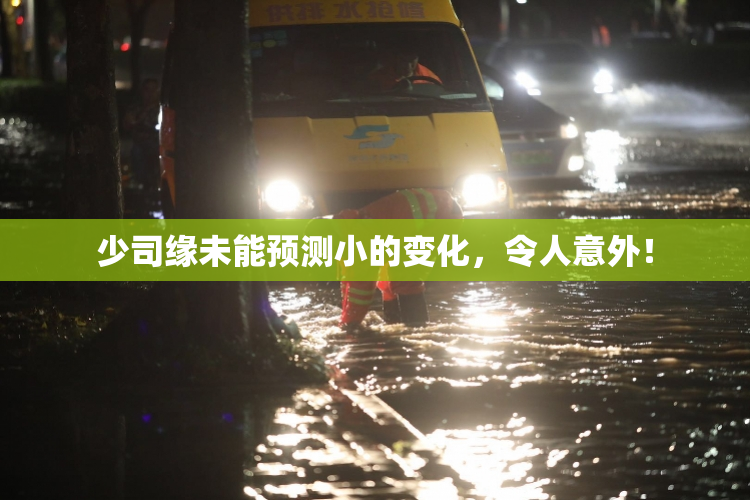 少司缘未能预测小的变化，令人意外！