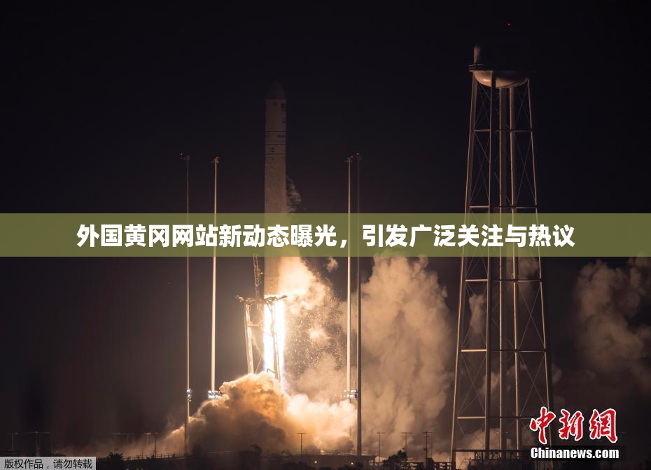 外国黄冈网站新动态曝光，引发广泛关注与热议