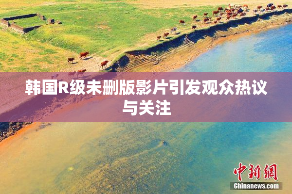 韩国R级未删版影片引发观众热议与关注