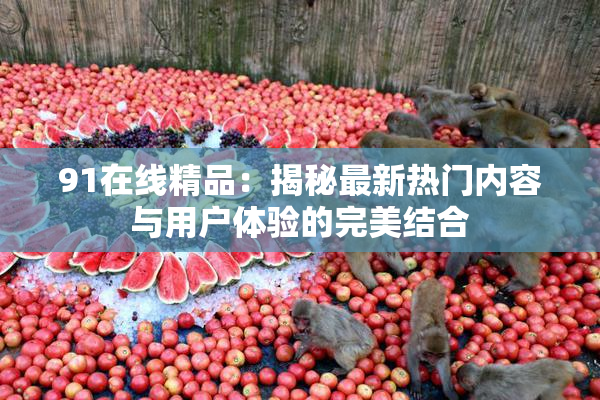 91在线精品：揭秘最新热门内容与用户体验的完美结合